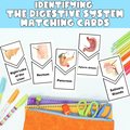 Identifying the Digestive System Matching Cards