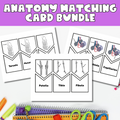 Identifying Anatomy Matching Cards Bundle