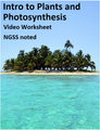 Intro to Plants and Photosynthesis. Video sheet, Google Forms, Easel & more (V3)