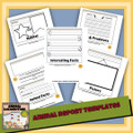 Leap Year Activity Bundle