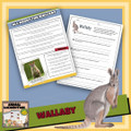 Leap Year Activity Bundle