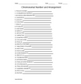 Chromosomal Number and Arrangement Word Scramble for Genetics