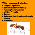 TWO BAD ANTS (JOURNEYS 3RD GRADE), READING LESSONS WITH EXTENSION ACTIVITIES