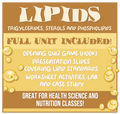 LIPIDS- Triglycerides, Sterols and Phospholipids- FULL UNIT- Great for Nutrition