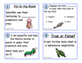 Animal Adaptations in the Reef Habitat Worksheets and Activities