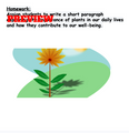 PARTS OF PLANT & PHOTOSYNTHESIS LESSON PLAN WITH WORKSHEETS: 3RD/4TH GRADES