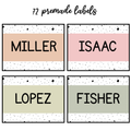 Printable Student Name Labels, Editable Classroom Labels, Name Tags, Labels