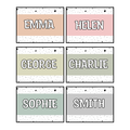 Printable Student Name Labels, Editable Classroom Labels, Name Tags, Labels