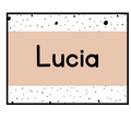 Printable Student Name Labels, Editable Classroom Labels, Name Tags, Labels