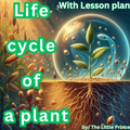 Life Cycle OF a Plant with Lesson plan and 12 Flash Cards | Realistic images.