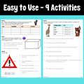 6th Grade Geometry Math Project - Area, Perimeter, Surface Area, Volume