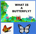 WHAT IS A BUTTERFLY? - READING LESSONS, RESEARCH & LIFE CYCLE ACTIVITIES