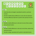 Specialized Cells - Review Activity