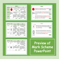 Specialized Cells - Review Activity