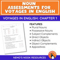 Grammar: Noun Assessment to go with Chapter 1 in Voyages In English (7th Grade)