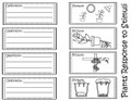 Plants Response to Stimuli Interactive Notebook / Foldable