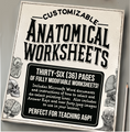 CUSTOMIZABLE Anatomy Worksheets! 36 pages with Answer Keys and PNG images!