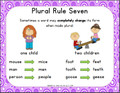 Plural Noun Rules Anchor Chart Set