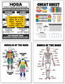 THE ULTIMATE 2025-2026 HEALTH SCIENCE TEACHER PLANNER- PDF PRINTABLE VERSION