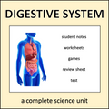 Digestive System Digestive System