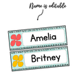 Printable Bright Student Desk Plates, Editable Classroom Labels