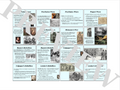 Events of the Foundation of the 13 Colonies Gallery Walk and Activities