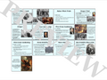Events of the Foundation of the 13 Colonies Gallery Walk and Activities