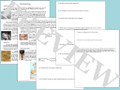 Paleolithic Age and Neolithic Period Activities Bundle