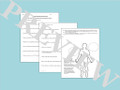 Paleolithic Age and Neolithic Period Activities Bundle
