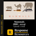 Mammals (BBC, 2024) - Episode 1: Dark - Worksheet & Key