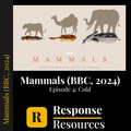 Mammals (BBC, 2024) - Episode 4: Cold - Worksheet & Key