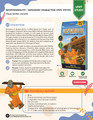Unit Study | Responsibility (Grades 3-6)