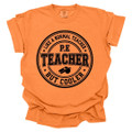 PE Teacher, Like a Normal Teacher, But Cooler - PE Teacher T-shirt - Comfort Colors 