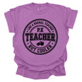 PE Teacher, Like a Normal Teacher, But Cooler - PE Teacher T-shirt - Comfort Colors 