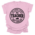 PE Teacher, Like a Normal Teacher, But Cooler - PE Teacher T-shirt - Comfort Colors 
