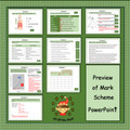 Respiration Review Activity