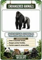 Endangered Animals of the World Flashcards 20 Printable Animal Flash Cards