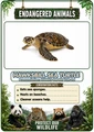 Endangered Animals of the World Flashcards 20 Printable Animal Flash Cards