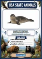 USA State Animals Flashcards 50 State Animal Cards with Pronunciation