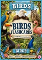 Birds Flashcards | 20 Printable Bird Flash Cards with Pronunciations