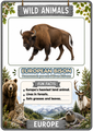 Wild Animals Flashcard Animal Cards with Pronunciations