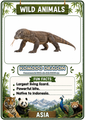 Wild Animals Flashcards | 20 Asian Printable Animal Cards with Fun Facts