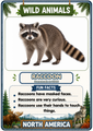 Wild Animals of North America Flashcards | 20 Printable Animal Cards