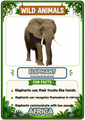 Wild Animals Flashcards | 20 African Printable Animal Cards with Fun Facts