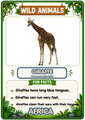 Wild Animals Flashcards | 20 African Printable Animal Cards with Fun Facts