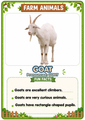 Farm Animals Flashcards 20 Printable Animal Cards with Fun Facts