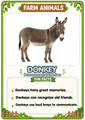 Farm Animals Flashcards 20 Printable Animal Cards with Fun Facts