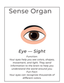  Human Body Systems Workbook | Organs, Senses, Skeletal & Muscular