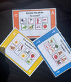 SATPIN Phonics Beginning Sounds Game -Literacy Center Activity