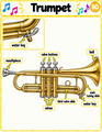 Beginning Band Instrument Care Posters & Parts Cards | Visual Routines | ELL